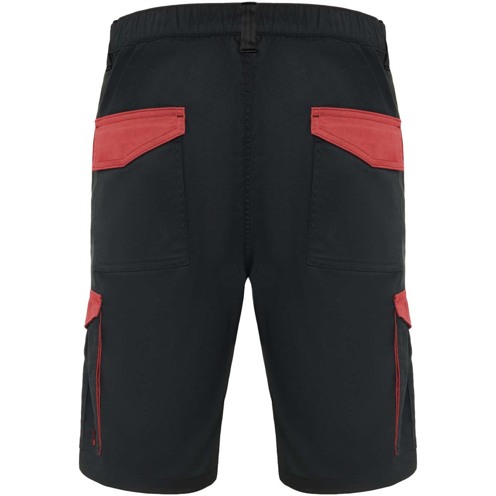 Tahoe Arbeitsshorts, 250 g/m2